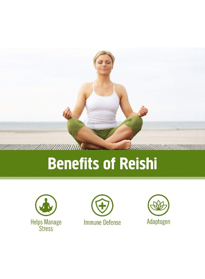 Om Mushroom Superfood OM REISHI ORGANIC MUSHROOM POWDER 100G - Image 5